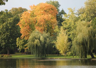 Kampen En Omgeving